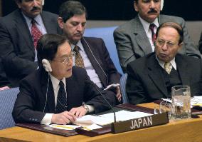 Japan calls new U.N. resolution on Iraq 'desirable'